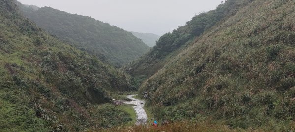 桃源谷，草嶺古道縱走1902833