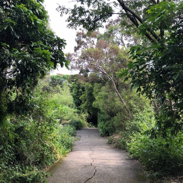 台灣小百岳No.043 三汀山1103353