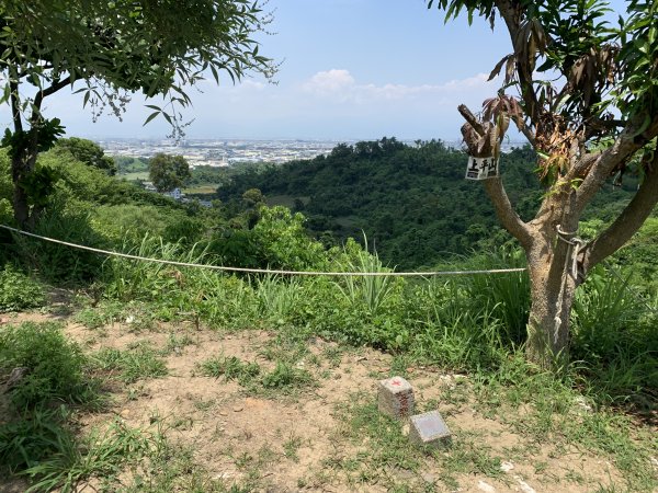 20250628高雄上平山2826362