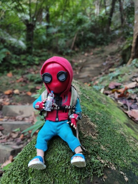 2023.12.14 土城天上山2827291