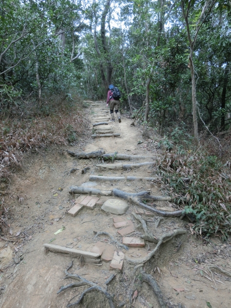 軍艦岩．丹鳳山步道91918