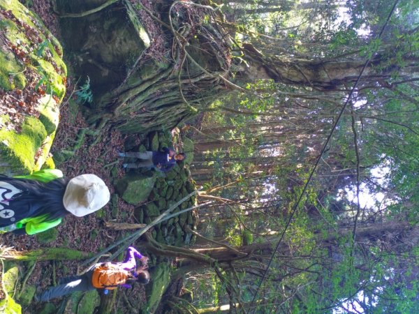 南庄加里山林業遺跡忘雨巖2026062