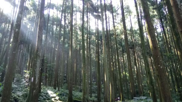 馬武督，外鳥嘴山，那結山連走375408