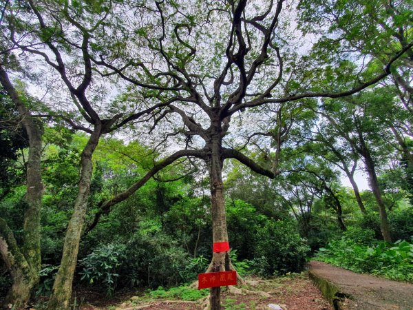 田中森林公園1059511