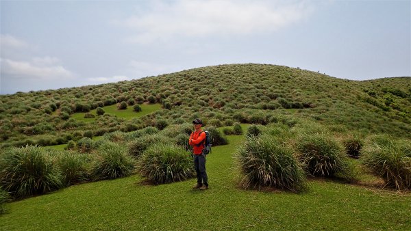 台北最後的淨土磺嘴山自然保護區健行趣封面