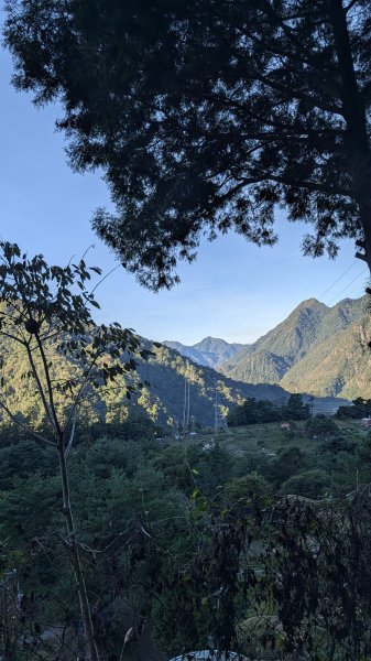 【中級山】五星級步道，谷關七雄馬崙山3021967