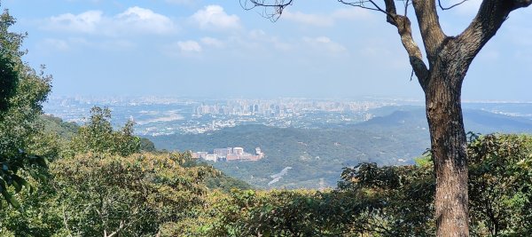飛鳳山3120027