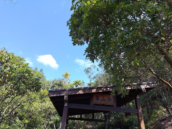 20260315金面山3015567