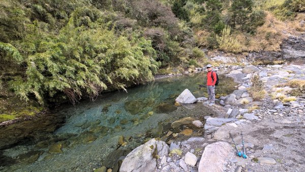 貼近山林來走個稍微不一樣風景的合歡山2989399