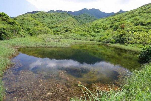 金陵 黃山全景圖 File:长干里客金陵四十八景图凤凰三山.jpg - 维基百科，自由的