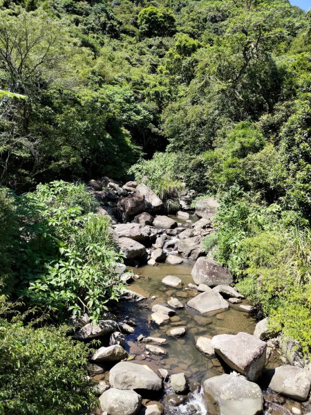 【台北市士林區】坪頂古圳步道2303563