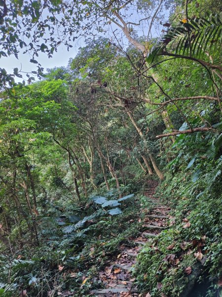 2023.12.14 土城天上山2827281