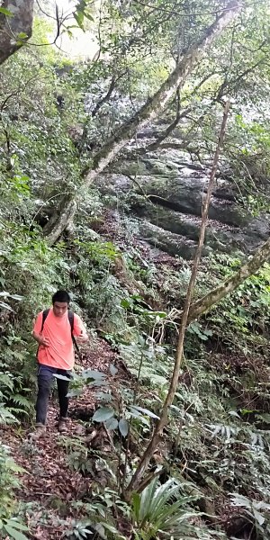 內鳥嘴山，北得拉曼神木群步道，瀑布初體驗1062620