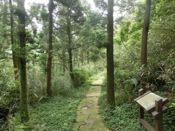 環七星山人車分道１326652