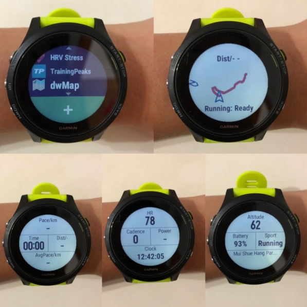 dw map garmin