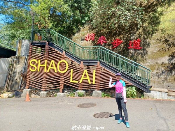 【台中和平】山林靜謐時光。 捎來步道2989204