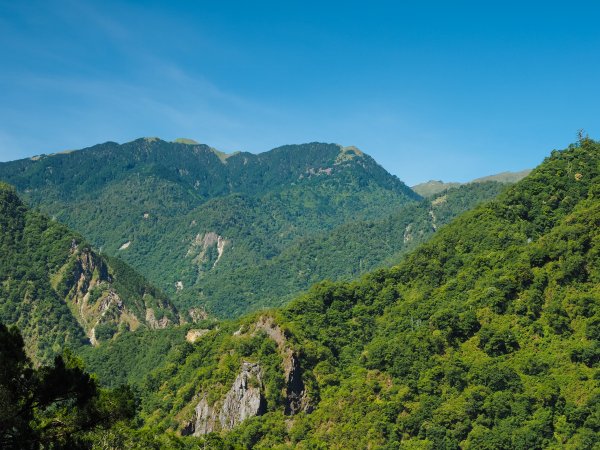 [百岳]能高越嶺逆走與奇萊南峰1042669