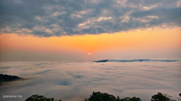 #馬那邦山 #夕陽 #雲海 #雲浪 3/82730366