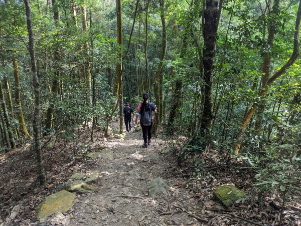 谷關七雄：崩壁瘦稜美景的白毛山1891300