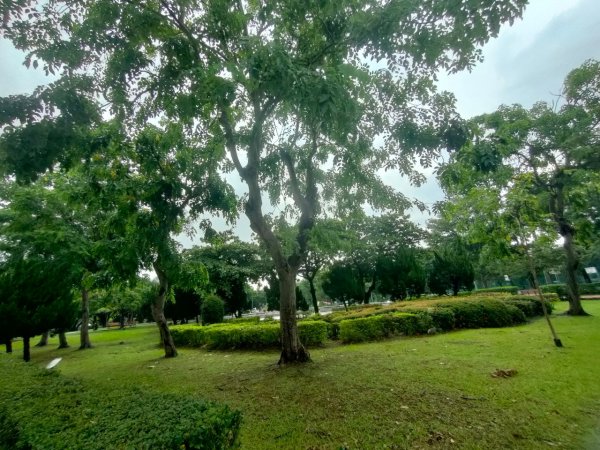 ［健康大穀東］（27~28）：天母運動公園+美崙公園（2023/8/11）2253740