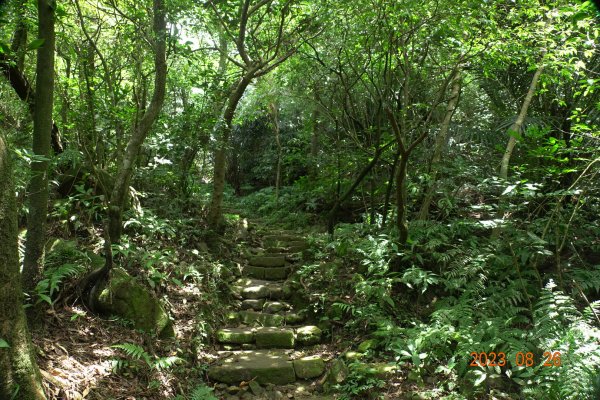 基隆 頂寮山、龍門山、五分山、頂子寮山2265990