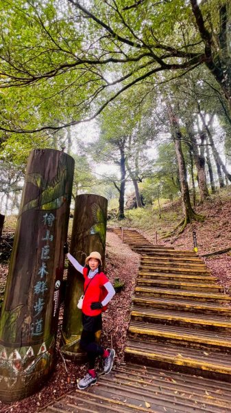 🌈3/28（六）觀霧檜山巨山步道×瀑布步道✨FB：熊熊趴爬走🌈3025235
