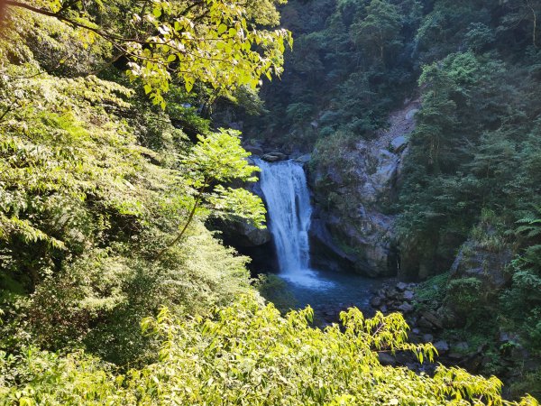 新北烏來｜內洞國家森林遊樂區步道群2904748