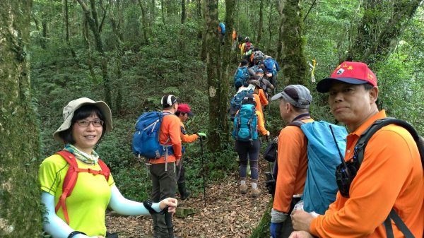 小百岳+古道~八五山古道登李崠山(#2618099