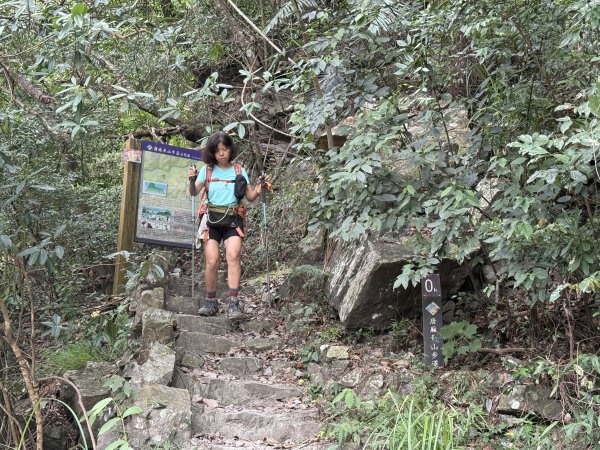 唐麻丹+蝴蝶谷O繞2887855