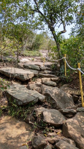 內湖金面山步道890429