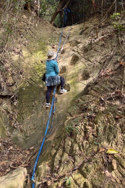 大社觀音山(小百岳#)2968582