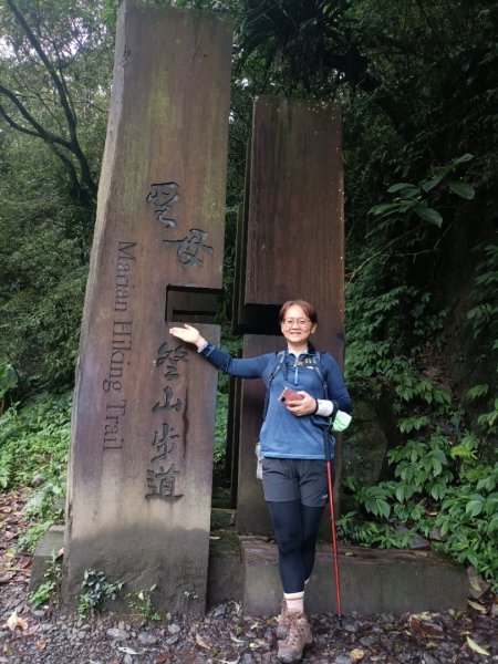 迷霧抹茶山1712750