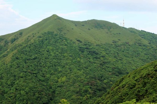 陽明山  菜公坑山 反經石   水車寮步道。林木蓊鬱  豐富的蕨類植披，絕佳避暑古道2174064