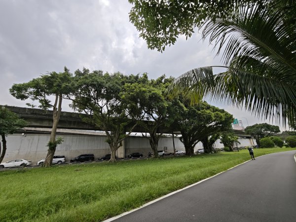 [跟著2025雙北世壯運探索雙北市-1/21] 2025_0607 飛盤競技道（華江雁鴨河濱步道）2807811