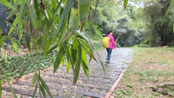 新竹文山步道|犁頭山步道|竹北生活圈|輕鬆健行親子步道|戽斗星球可愛童趣的文山國小1975480