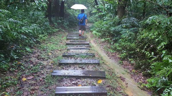 小百岳NO.14 深坑土庫岳。更寮古道 山豬窟尖，小南港山，南港山水綠生態公園2257333