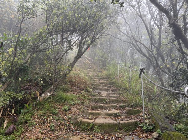 [微笑山線_第八段] 2026_0321 二格山系_二格山3020934