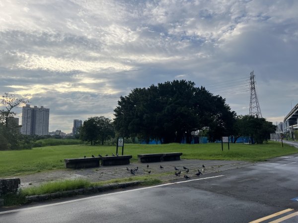 [全臺走路趣尋寶-22/100] 2024_0618 景美河濱公園2530311