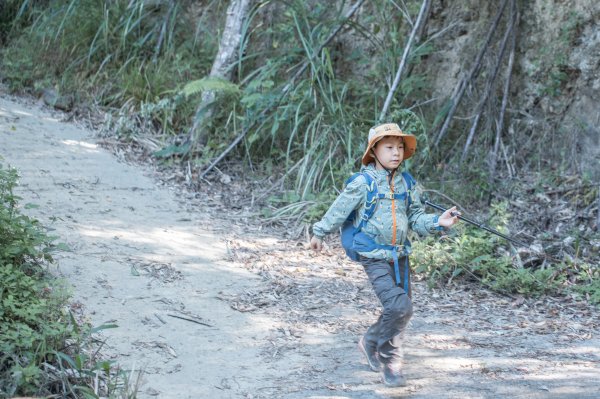 枕頭山古砲台歷史古道O型（含薑母島）2948507