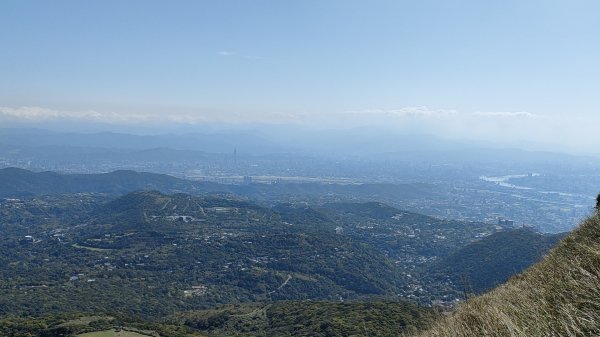 20220313 陽明山大縱走東段~風櫃嘴到小油坑1641914