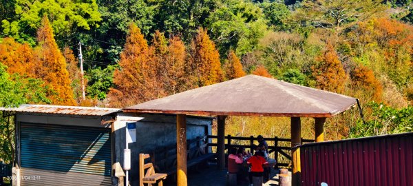 #花卉試驗中心 #永公路500巷 #平菁街42巷 #原住民公園 #士林官邸 1/42976529