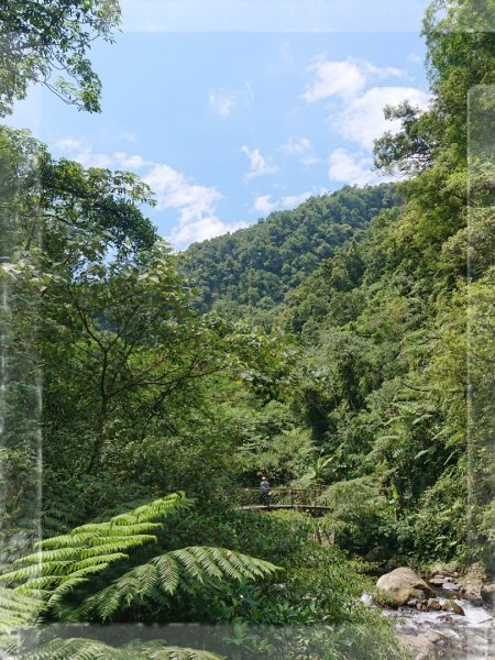 步道巡訪員 l 九寮溪自然步道7月巡訪日1044349