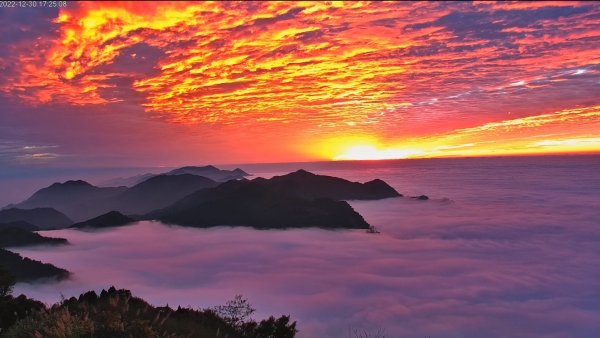 阿里山雲瀑&雲海/富士山直播即時視訊1975839