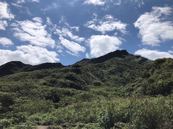 1070311 黃金五稜-劍龍嶺285353