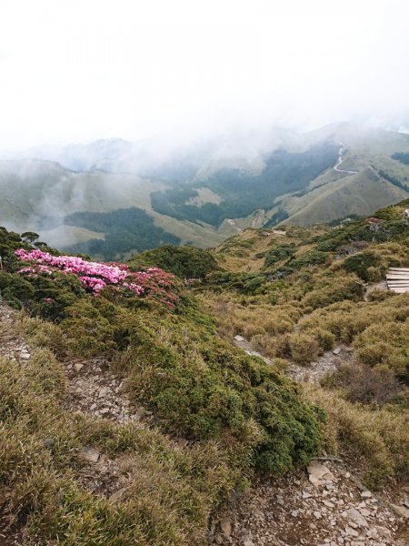 合歡山東峰579195