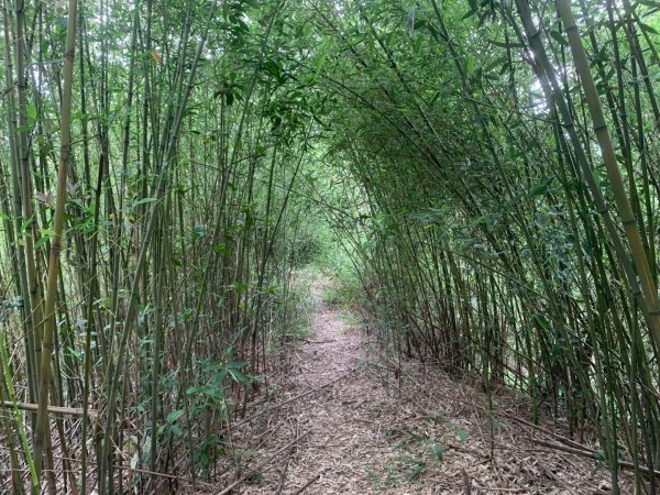 瑪陵坑群峰（七堵車站O型）2760802