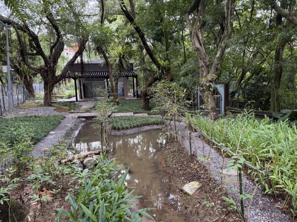[2026臺北健走趣-14/50] 2026_0823_木柵公園3122237