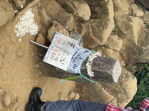 偷吃步之台北天際線第十段2777820