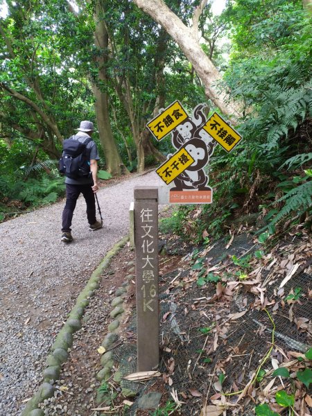 天母水管路步道(天母古道)1099017