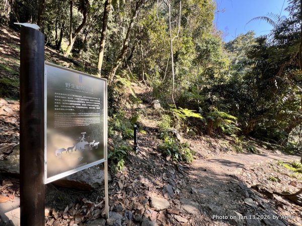 雪山坑步道（巨人之手）2986480